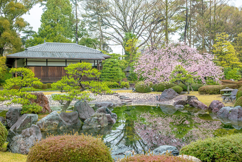 京都骨董・古美術買取りの「京　豊雅堂」